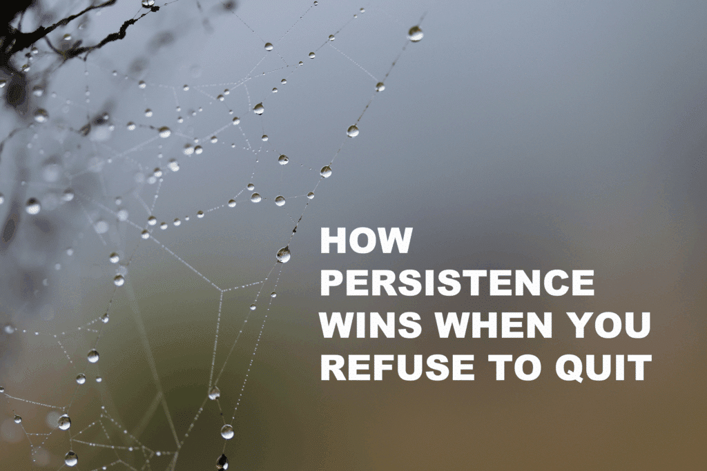 This picture is a featured image for the article titled: How Persistence Wins When You Refuse to Quit