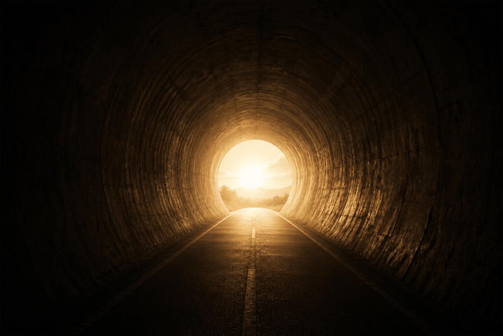 To support the article content on why following your heart will lead to success